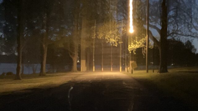 a photo of a path at white rock lake park in dallas, texas. the camera was jerked down as the shutter closed, resulting in light trails cascading down from the top of the frame.