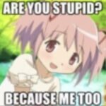 madoka from the anime "puella magi madoka magica" with impact font on the top and bottom that reads "are you stupid? because me too."